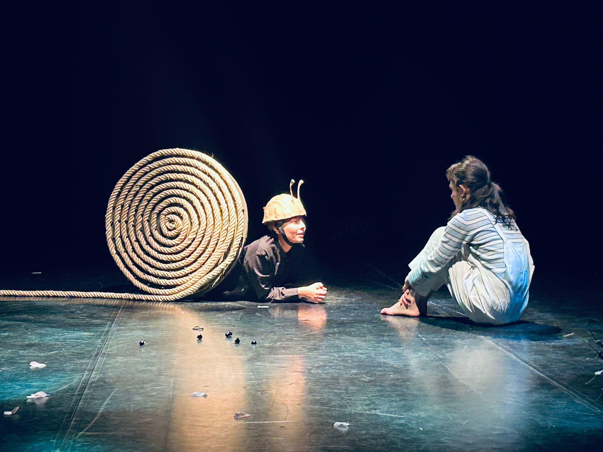 Scopri di più sull'articolo 9 FEB – PINOLO