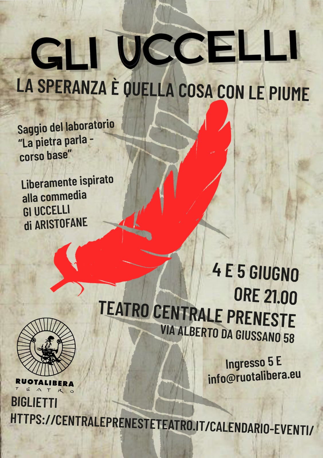 Scopri di più sull'articolo Gli uccelli – la speranza è quella cosa con le piume